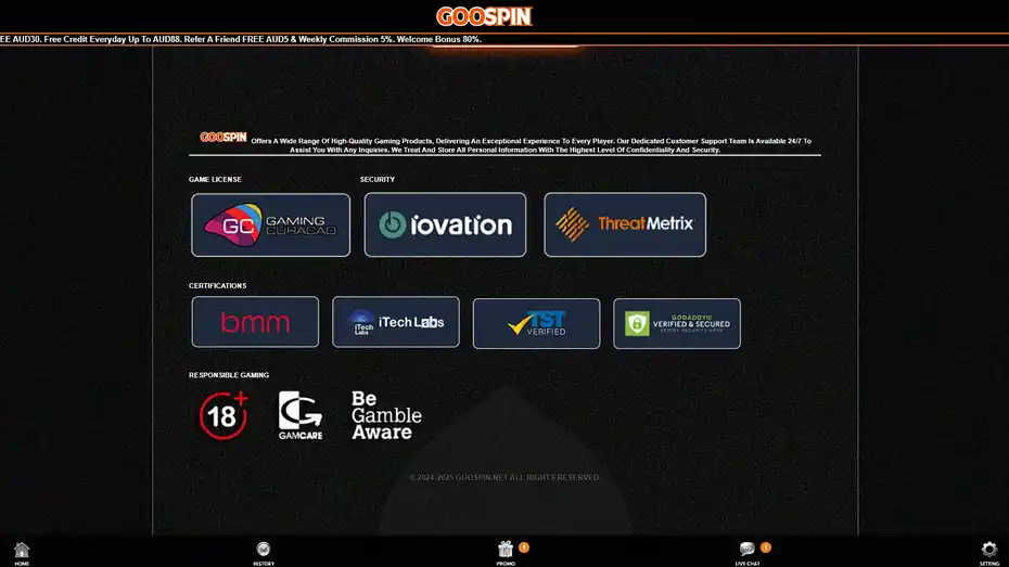 Goospin Review